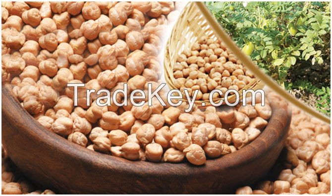 Chickpeas