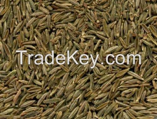 Cumin Seed Oil