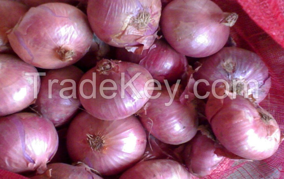 Fresh Onions