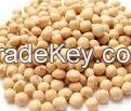 Soybean