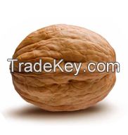 Walnut kernels and walnuts in shell