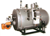 Central Combustion Oil(Gas)-Fired Boiler (WNS Series)
