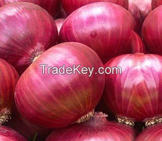 Onions 