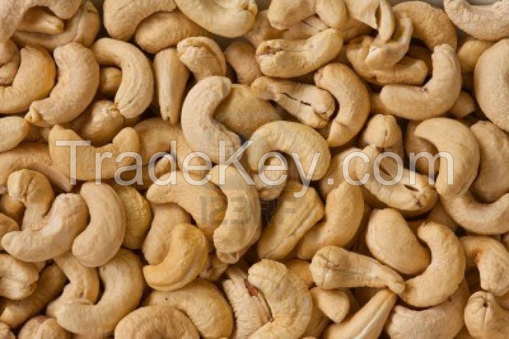 Cashew Nuts , Cashew Nuts Kernels, Raw Cashew Nuts W320, W240