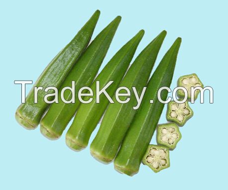 sheng yuan no.5 okra seed