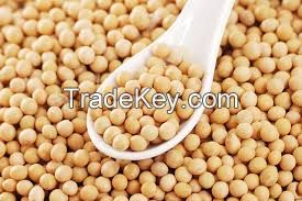 Soya Beans