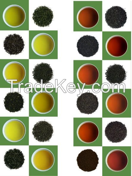 Green tea/Black tea in Bulk