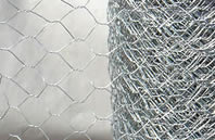 hexagonal wire mesh