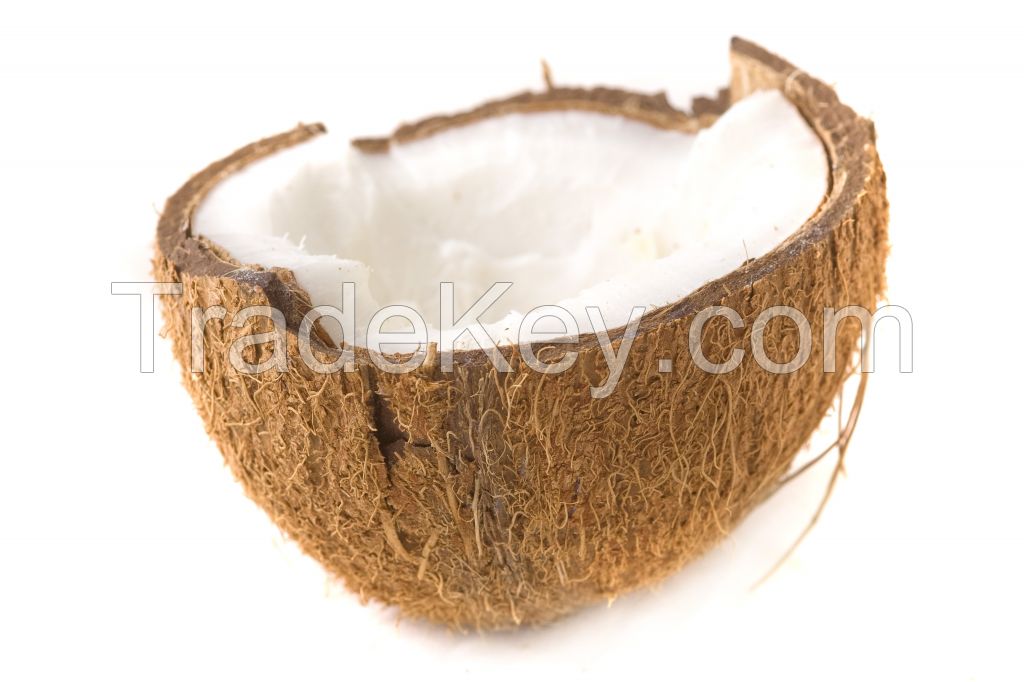 BioFumo Coconut Eliquid 10ml