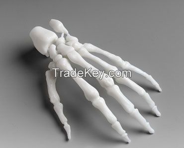 SLA 3D Printing System 3D Printer Medical Products Prototype Hand-Bones Model