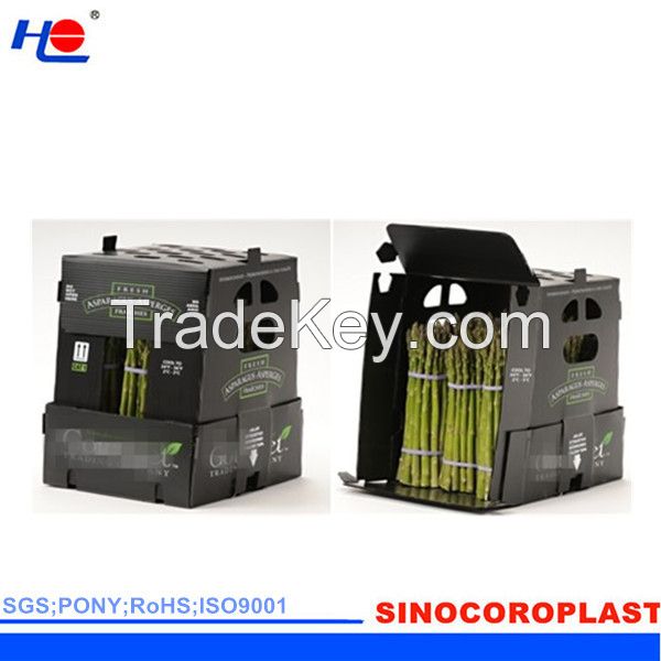 PP Corrugataed Asparagus Packing Box Manufacturer