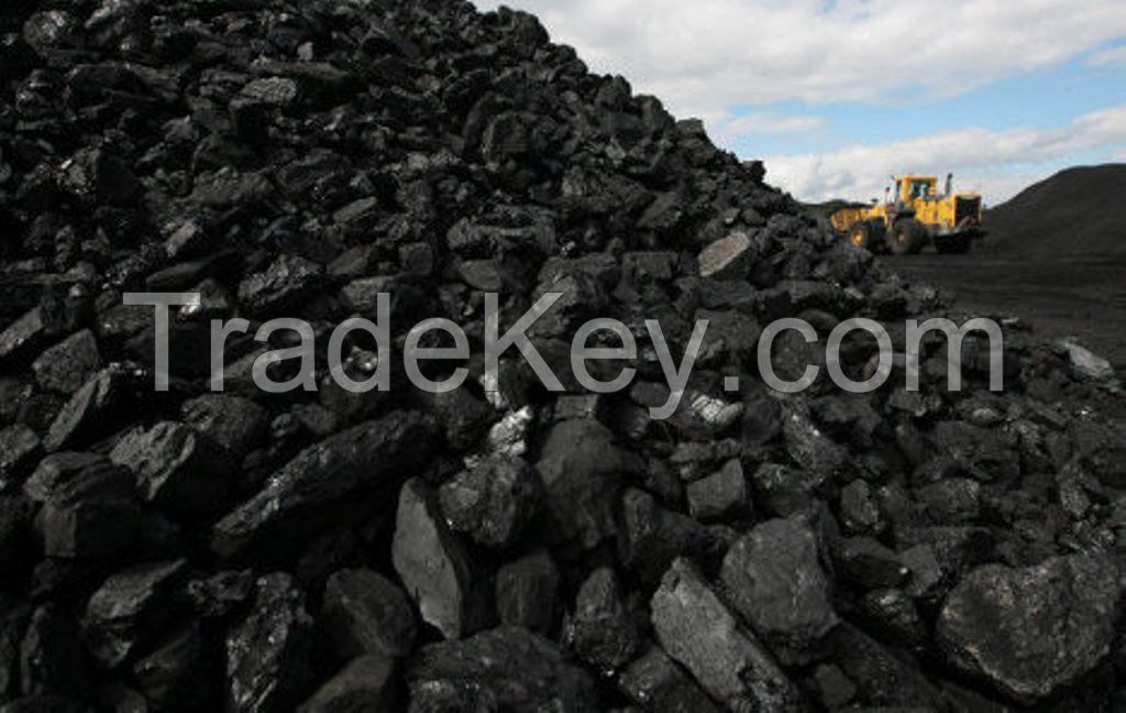 Steam coal