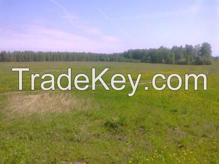 Farm land in Russia, near Moscow