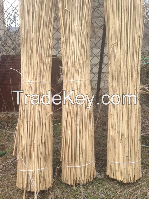 water reed for roofing