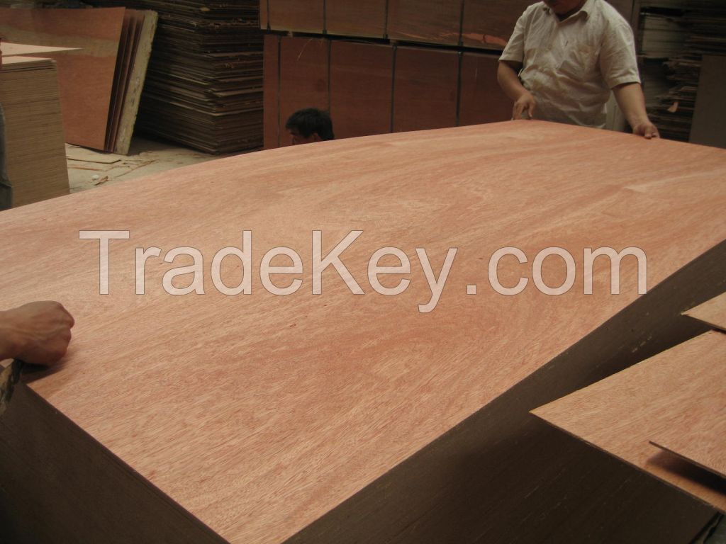 commercial usage bingtangor plywood