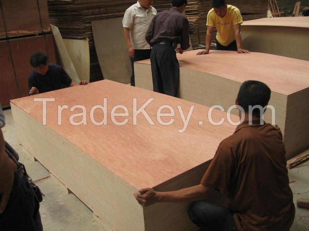 Low price Plywood