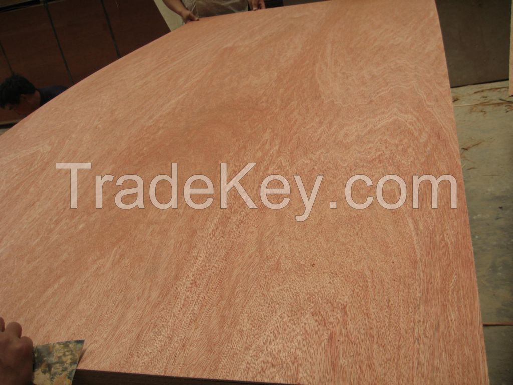 commercial usage bingtangor plywood 