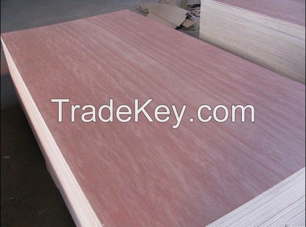 commercial usage bingtangor plywood 