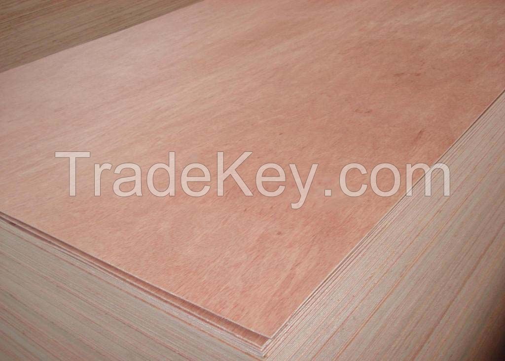 Low Price Film Faced Shuttering Plywood