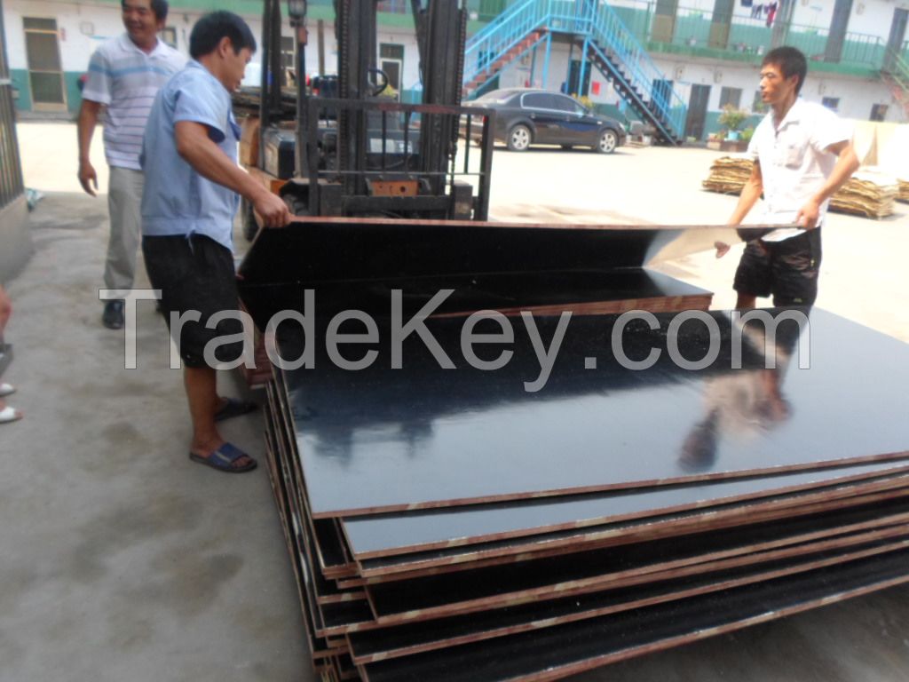 1250mmx2500mm size Plywood