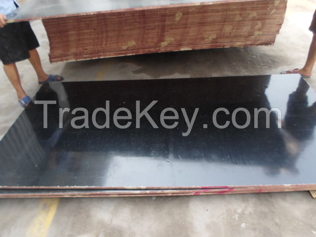 cheap bintangor plywood