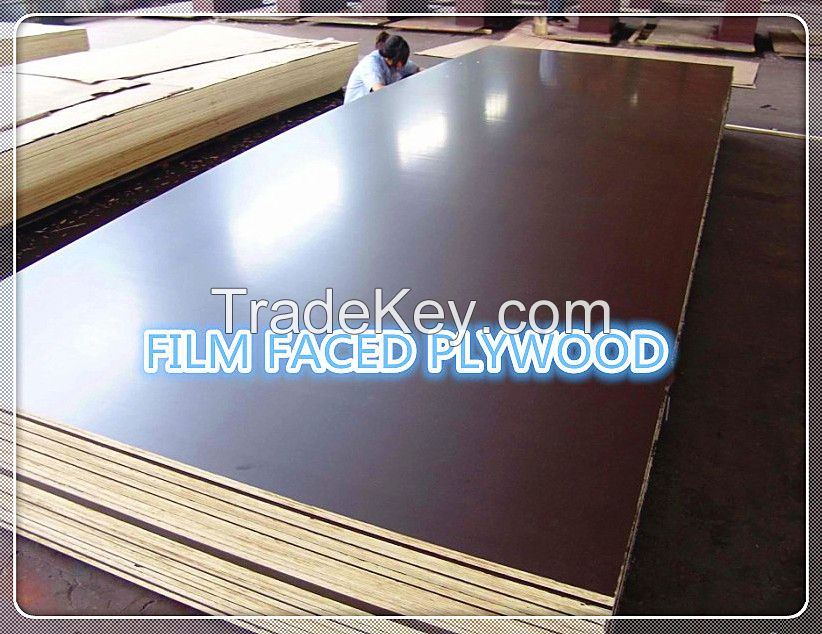 formwork plywood price