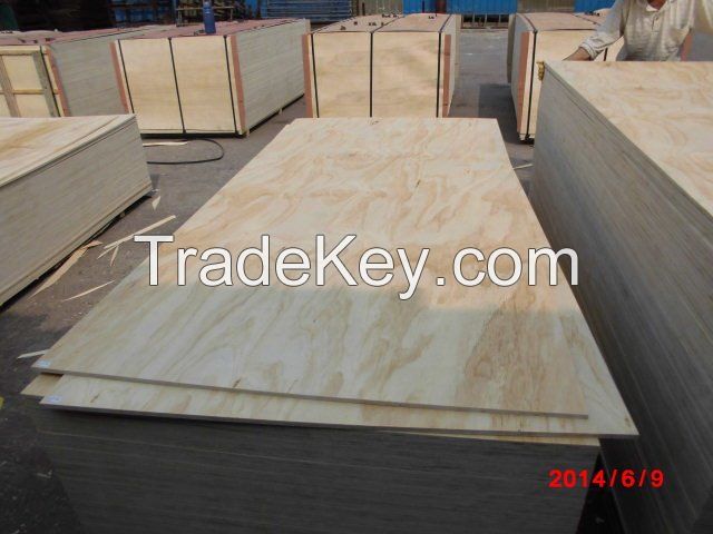 Pine Plywood/birch plywood