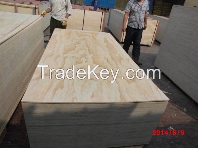 Pine Plywood/birch plywood