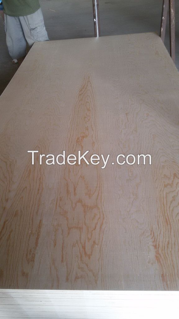 Pine Plywood/birch plywood