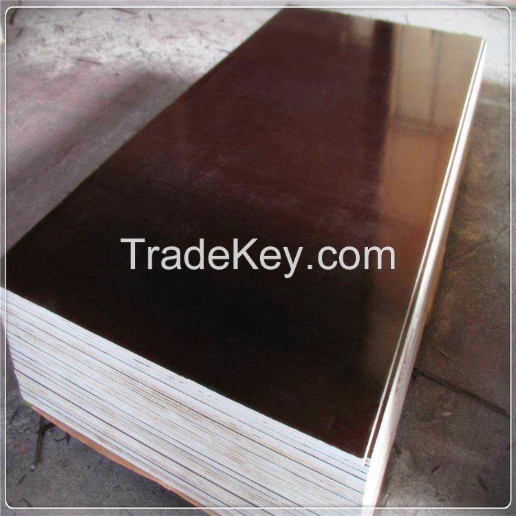 Formwork Plywood/marine plywood