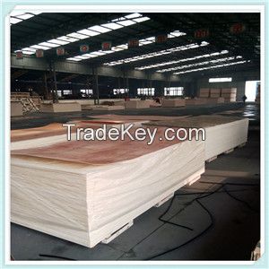 Low price Plywood