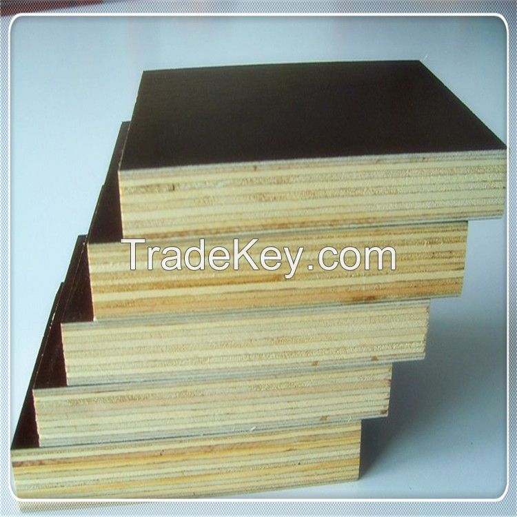 Film Faced Plywood 1250x2500mm size