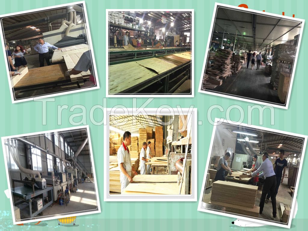 Commercial Plywood