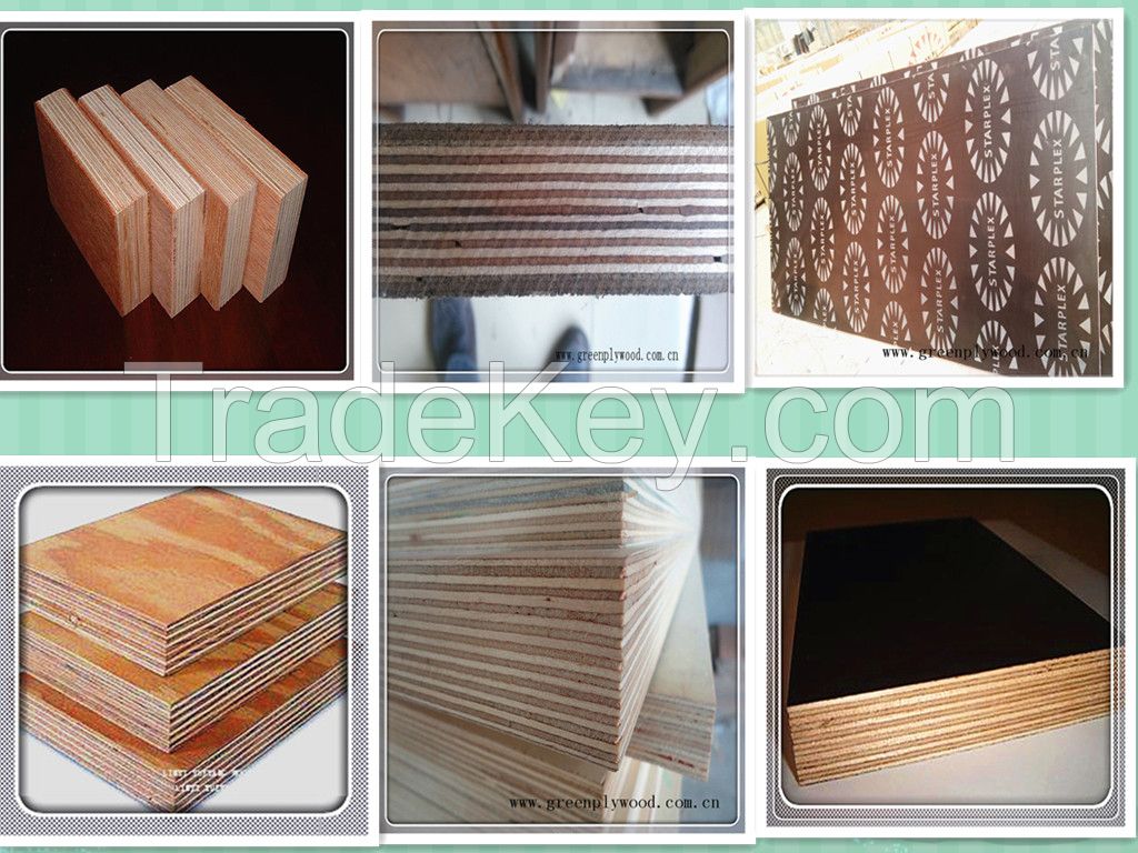 melamine board/melamine plywood