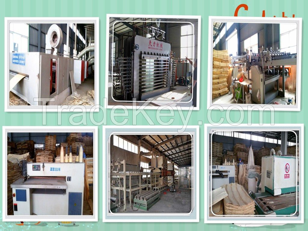 construction Plywood price