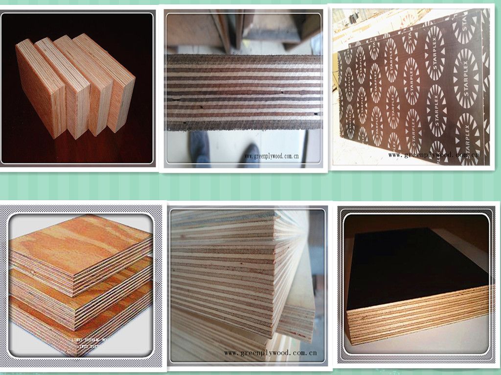 Low Price construction Plywood