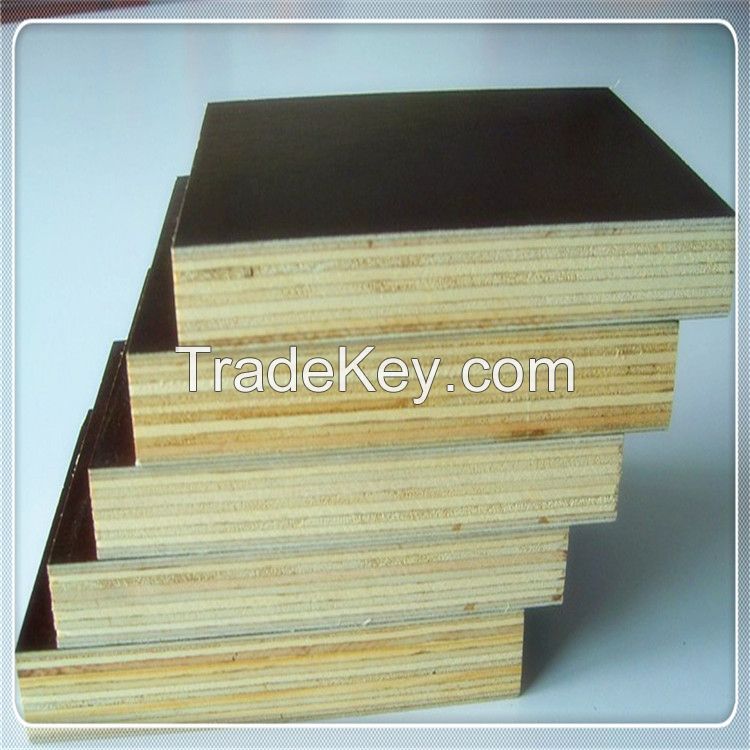 Film faced plywood/concret plywood