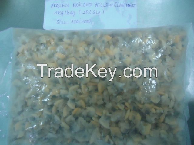 Best quality Yellow Clam from Viet Nam!!!!!