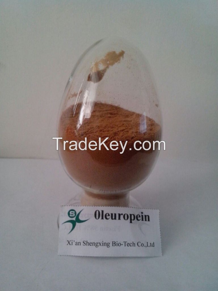 Olive Leaf extract water soluble oleuropein