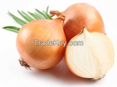 fresh onions