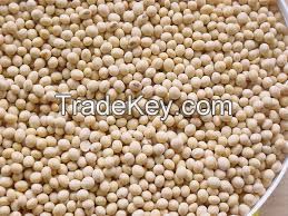 Soybeans Meals