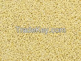 Millet Seeds