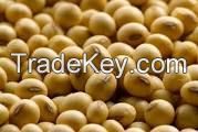 Soybeans Meals