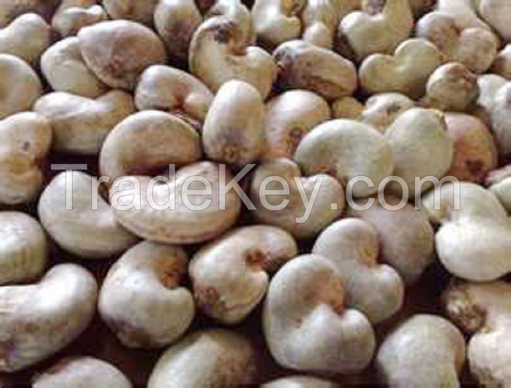 Dried Cashew Nuts