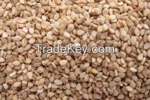 Sesame Seeds