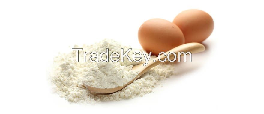 Egg powder from Ukraine