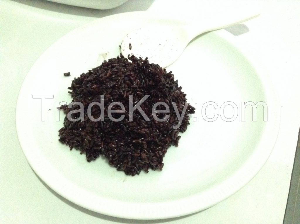 Thai  Black Glutinous rice