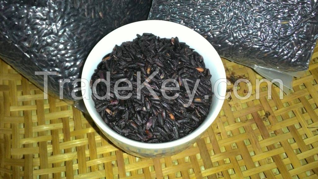 Thai  Black Glutinous rice