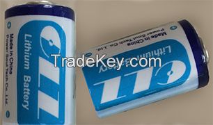 Lithium Thionyl Chloride(Li-SOCl2) batteries