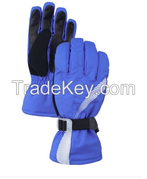 Ski gloves